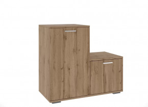 Обувницы в Пангоды