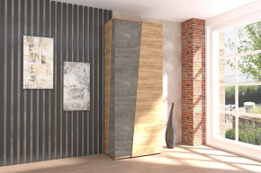 Аллегро-10 Шкаф двухдверный Диал в Пангоды - pangody.mebel-tymen.ru | фото