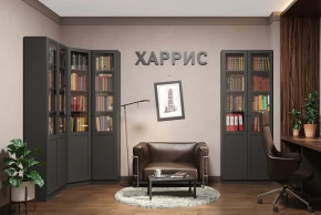 Библиотека Харрис в Пангоды - pangody.mebel-tymen.ru | фото