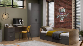 Детская «Стелла» Серый вулкан, Фон Серый, Яблоня Беллуно в Пангоды - pangody.mebel-tymen.ru | фото