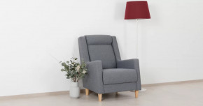 Дилан Кресло для отдыха арт. ТК 423 в Пангоды - pangody.mebel-tymen.ru | фото