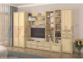 Гостиная Карина набор 11 в Пангоды - pangody.mebel-tymen.ru | фото