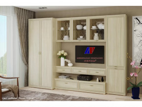 Гостиная Карина набор 23 в Пангоды - pangody.mebel-tymen.ru | фото