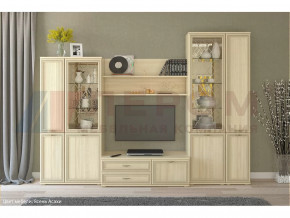 Гостиная Карина набор 24 в Пангоды - pangody.mebel-tymen.ru | фото