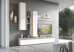 Гостиная НАО-Моно №1 в Пангоды - pangody.mebel-tymen.ru | фото