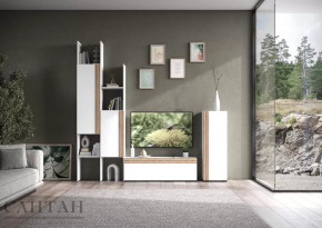 Гостиная НАО-Моно №3 в Пангоды - pangody.mebel-tymen.ru | фото