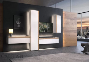 Гостиная НАО-Моно №7 в Пангоды - pangody.mebel-tymen.ru | фото