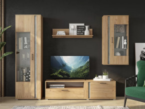 Гостиная Омега в Пангоды - pangody.mebel-tymen.ru | фото