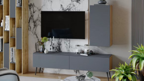 Гостиная «Порто» №3 Яблоня Беллуно, Графит софт в Пангоды - pangody.mebel-tymen.ru | фото