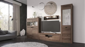 Гостиная Серия Регина дуб самдал в Пангоды - pangody.mebel-tymen.ru | фото