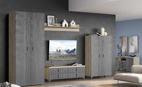 Гостиная Шер Композиция №13 в Пангоды - pangody.mebel-tymen.ru | фото