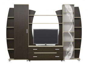 Гостиная Тиана-3 (Дуб Белфорт/Дуб Венге) в Пангоды - pangody.mebel-tymen.ru | фото