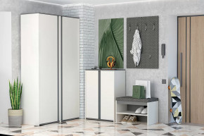 Иннэс-12 Прихожая №2 Диал в Пангоды - pangody.mebel-tymen.ru | фото