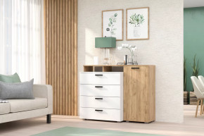 Комод №8 Зарон в Пангоды - pangody.mebel-tymen.ru | фото