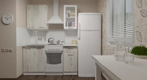 Кухонный гарнитур Алина мини 1000 мм в Пангоды - pangody.mebel-tymen.ru | фото