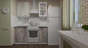 Кухонный гарнитур Инна мини 1000 мм в Пангоды - pangody.mebel-tymen.ru | фото