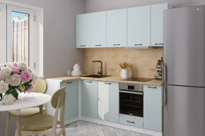 Кухонный гарнитур Лиора прайм 400 1100х2000 мм в Пангоды - pangody.mebel-tymen.ru | фото