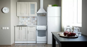 Кухонный гарнитур Лира мини 1000 мм в Пангоды - pangody.mebel-tymen.ru | фото