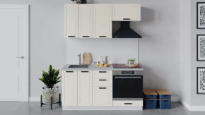 Кухонный гарнитур «Лорас» длиной 160 см со шкафом НБ в Пангоды - pangody.mebel-tymen.ru | фото