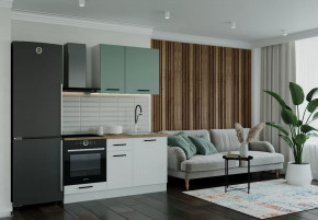 Кухонный гарнитур Муссон-1600 столешница 38 мм в Пангоды - pangody.mebel-tymen.ru | фото