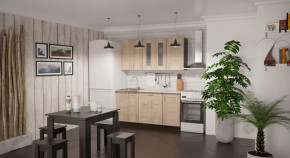 Кухонный гарнитур Ника стандарт 1600 мм в Пангоды - pangody.mebel-tymen.ru | фото