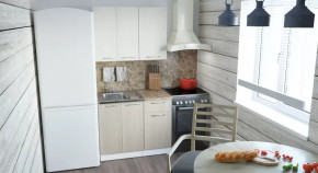 Кухонный гарнитур Ольга мини 2 1000 мм в Пангоды - pangody.mebel-tymen.ru | фото