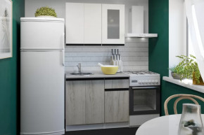 Кухонный гарнитур Паола мини 1000 мм в Пангоды - pangody.mebel-tymen.ru | фото