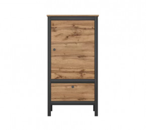 LOFT шкаф REG1D1S/60 (Дуб вотан/Черный) в Пангоды - pangody.mebel-tymen.ru | фото