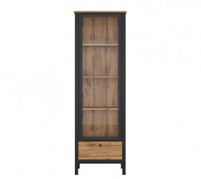 LOFT шкаф REG1W1S (Дуб вотан/Черный) в Пангоды - pangody.mebel-tymen.ru | фото