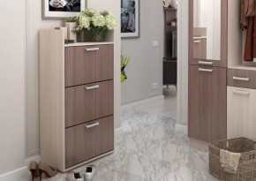 Обувница №2 Дели в Пангоды - pangody.mebel-tymen.ru | фото