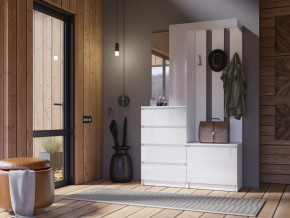 Прихожая Челси белый в Пангоды - pangody.mebel-tymen.ru | фото