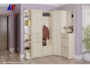 Прихожая Карина набор 5 в Пангоды - pangody.mebel-tymen.ru | фото