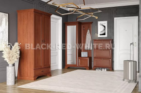 Прихожая Kentaki каштан в Пангоды - pangody.mebel-tymen.ru | фото