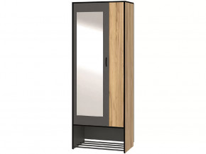 Шкаф 2-х створчатый с зеркалом Ольга-Лофт 3.1 в Пангоды - pangody.mebel-tymen.ru | фото