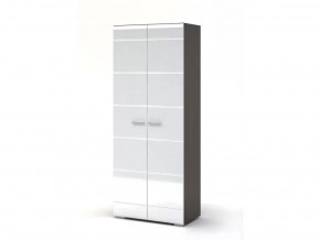 Шкаф 2-х створчатый Вегас в Пангоды - pangody.mebel-tymen.ru | фото