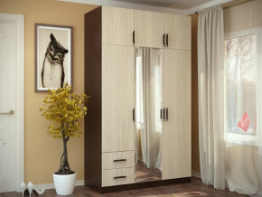 Шкаф 3-х створчатый с перегородкой венге/лоредо БТС в Пангоды - pangody.mebel-tymen.ru | фото