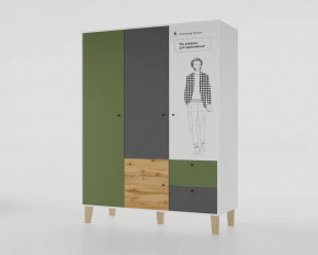 Шкаф 3-х створчатый "Story" (Пушкин) в Пангоды - pangody.mebel-tymen.ru | фото