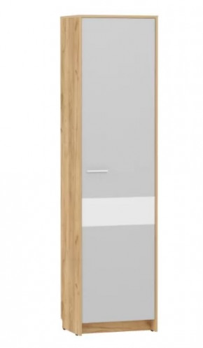Шкаф для одежды Нортон НМ 013.12 в Пангоды - pangody.mebel-tymen.ru | фото