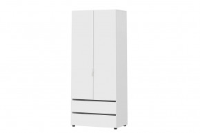 Шкаф двухстворчатый с двумя ящиками Токио в Пангоды - pangody.mebel-tymen.ru | фото