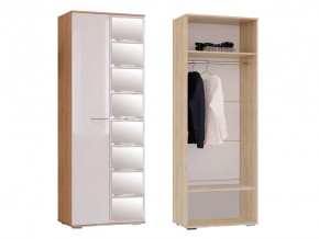 Шкаф Флай ШК-04 в Пангоды - pangody.mebel-tymen.ru | фото