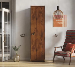 Шкаф JREG 1d Дуб саттер ИНДИАНА в Пангоды - pangody.mebel-tymen.ru | фото