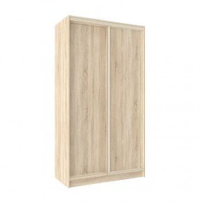 Шкаф-купе 1200 Домашний лдсп/лдсп в Пангоды - pangody.mebel-tymen.ru | фото