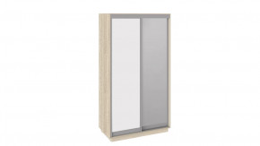 Шкаф-купе 2-х дверный «Румер» в Пангоды - pangody.mebel-tymen.ru | фото