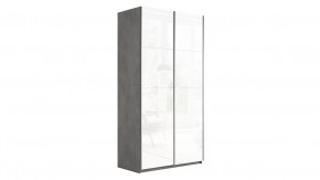 Шкаф-купе 2-х дверный «Траст» в Пангоды - pangody.mebel-tymen.ru | фото