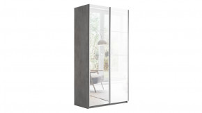 Шкаф-купе 2-х дверный «Траст» в Пангоды - pangody.mebel-tymen.ru | фото