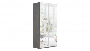 Шкаф-купе 2-х дверный «Траст» в Пангоды - pangody.mebel-tymen.ru | фото