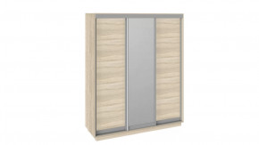 Шкаф-купе 3-х дверный «Румер» в Пангоды - pangody.mebel-tymen.ru | фото