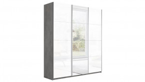 Шкаф-купе 3-х дверный «Траст» в Пангоды - pangody.mebel-tymen.ru | фото