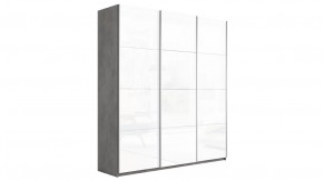 Шкаф-купе 3-х дверный «Траст» в Пангоды - pangody.mebel-tymen.ru | фото