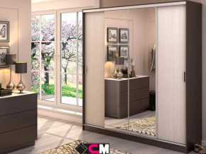 Шкаф-купе Альянс 2000 в Пангоды - pangody.mebel-tymen.ru | фото